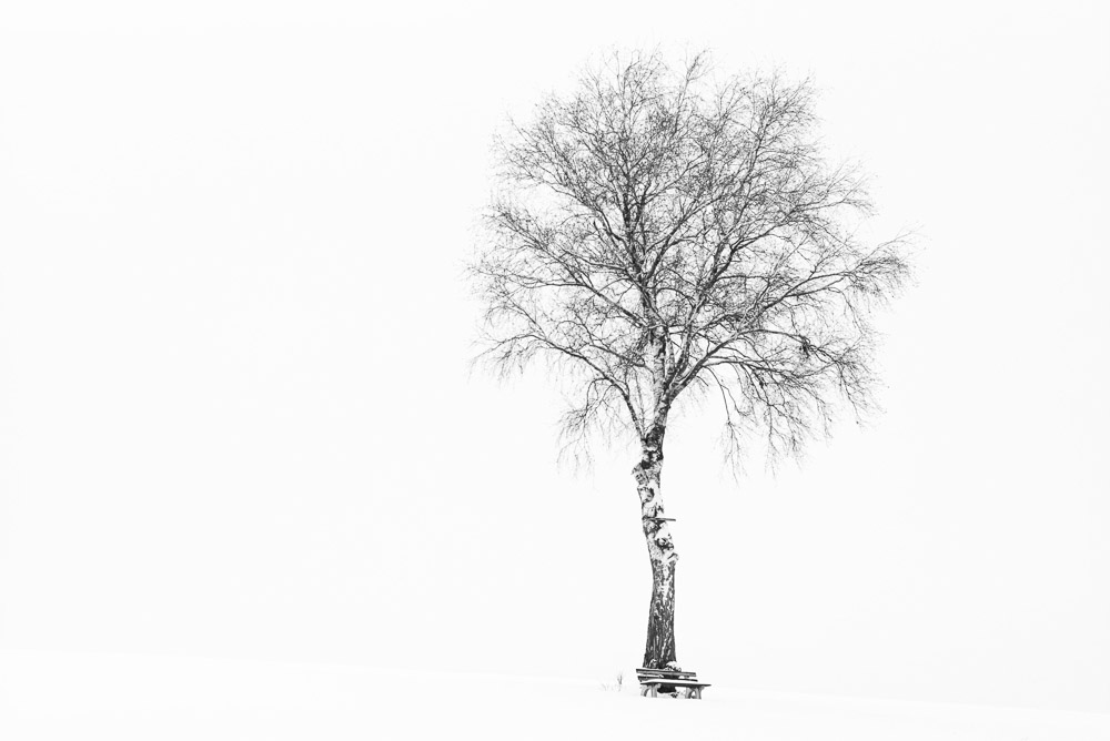 Platz 6 Michael Mayer